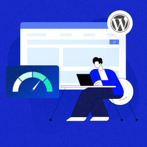Wordpress Speed Optimization