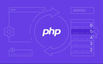 Maximizing Plugin Efficiency: Ensuring PHP Version Compatibility